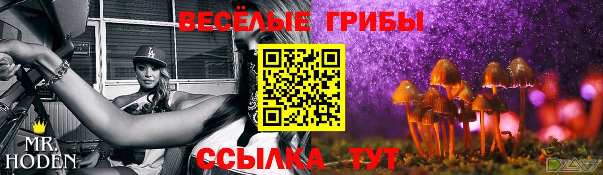 где продают   Вход с VPN  Галлюциногенные грибы GOLDEN TEACHER  Архангельск  Галлюциногенные грибы прущие грибы 
